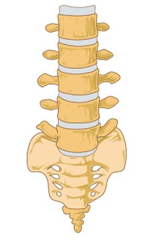 Rothman Orthopaedic Institute adds physicians, new offices