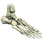 All About Total Ankle Replacement in New Jersey.