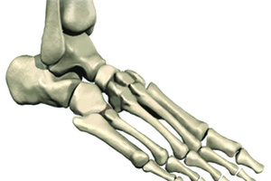 The Best Podiatrists for Philadelphia Athletes