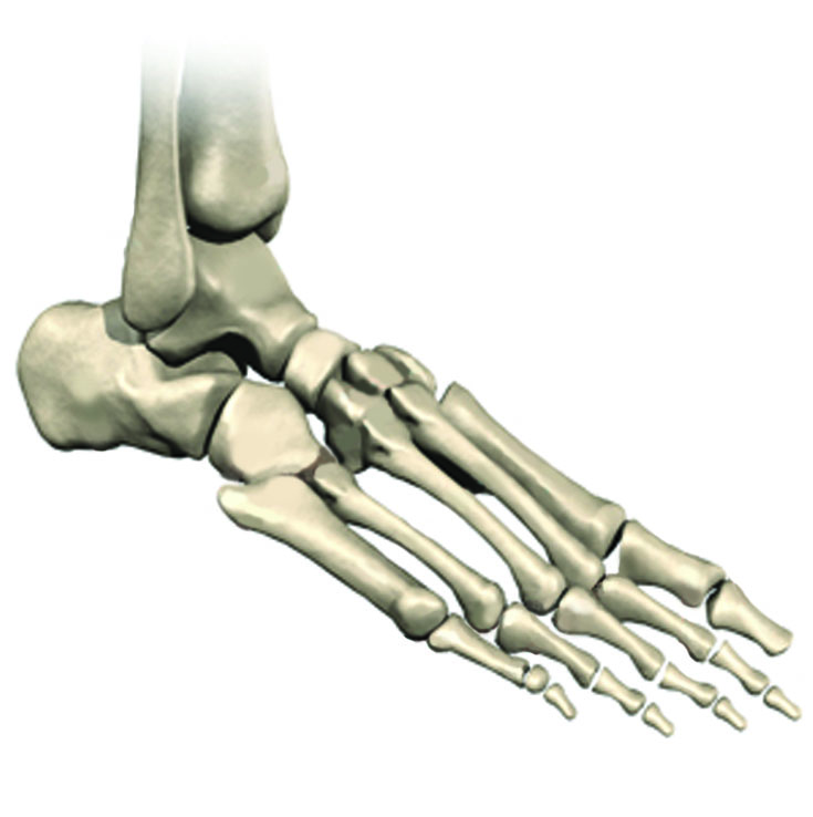 Where To Get Digital Deformities Procedures In The Philadelphia & New Jersey Area