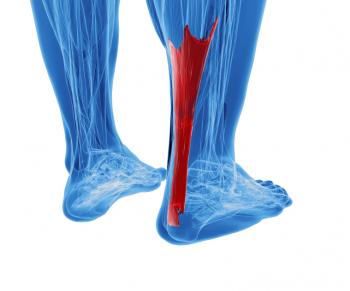 achillies-tendon.jpg