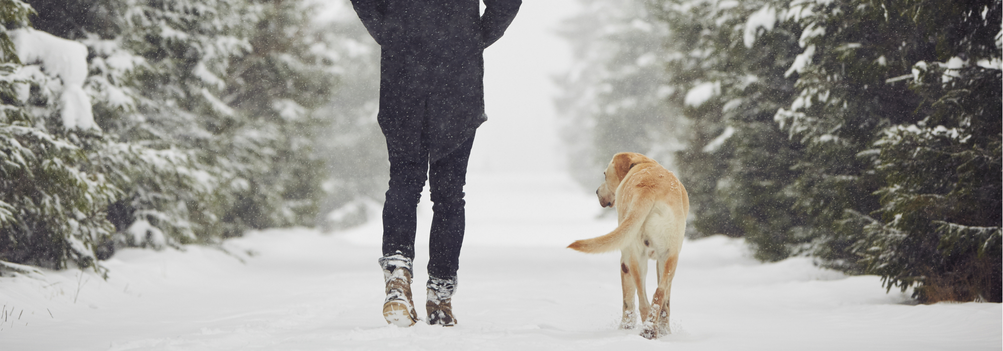 Injuries Caused By Slipping On Ice: Top 5 Injuries and What To Do Next