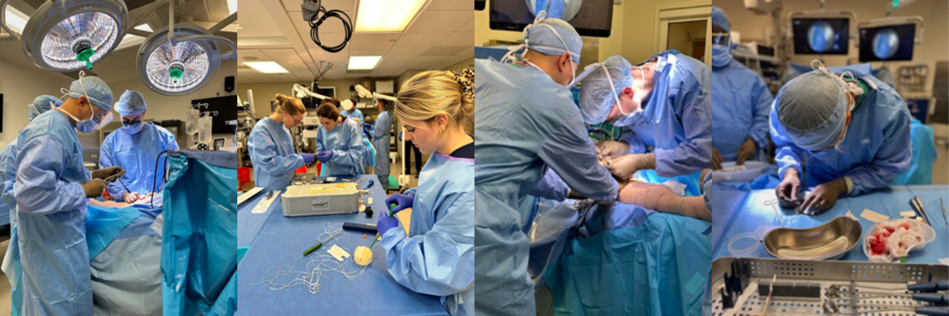 Cultural Shift in APPs in Healthcare